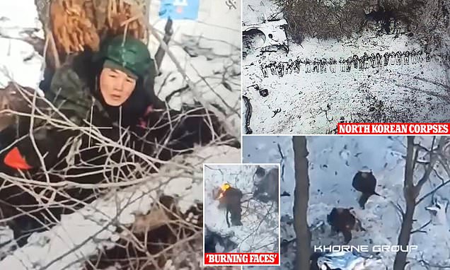 www.dailymail.co.uk