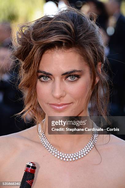 alyson-le-borges-attends-the-blood-ties-premiere-during-the-66th-cannes-international-film.jpg