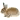 rentry.org