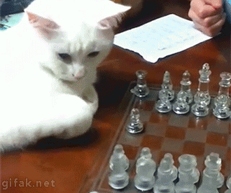 LSyDKPu.gif