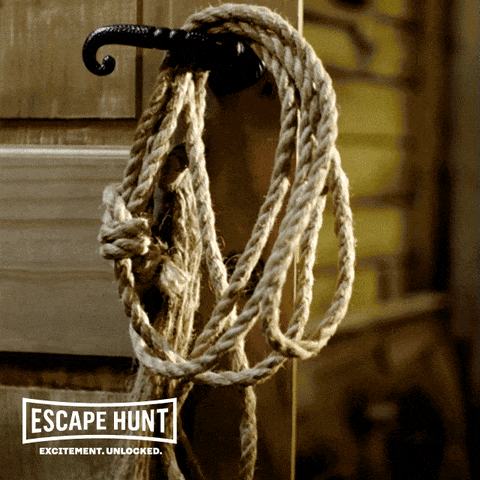 giphy-downsized-large.gif