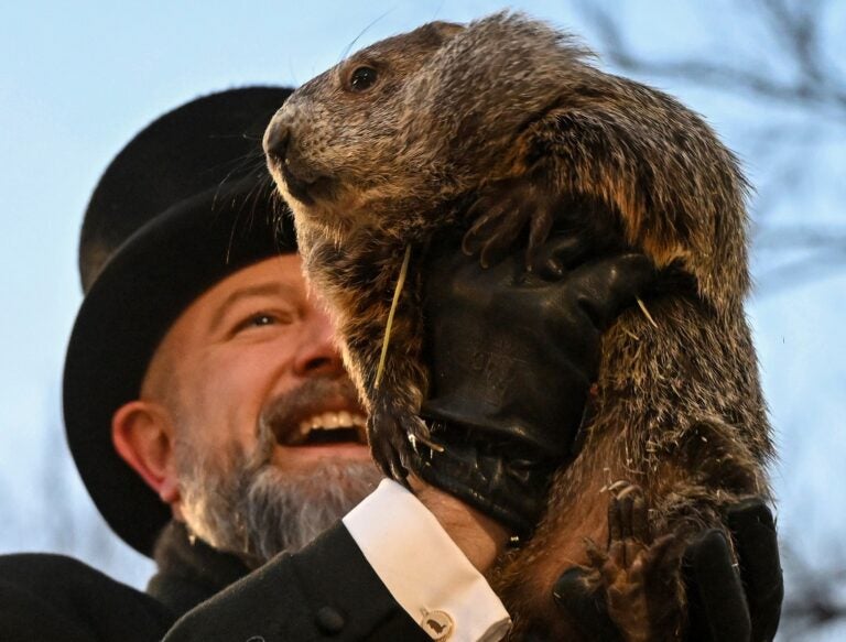 Punxsutawney-Phil-2025-02-02-768x583.jpg