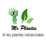 www.mr-plantes.com