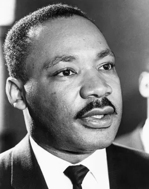 mlk-pictures-gy2zr41lt2t0p5kg.webp