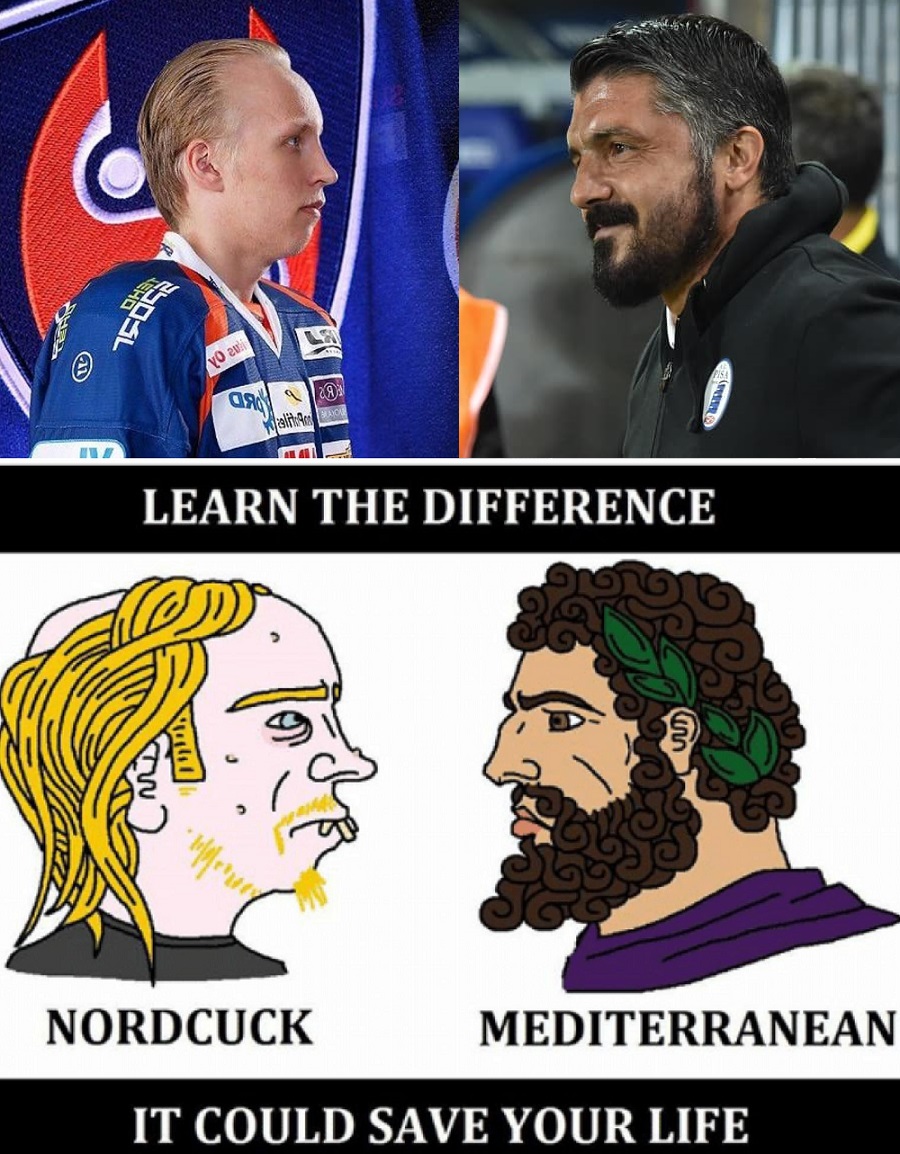 439.jpg