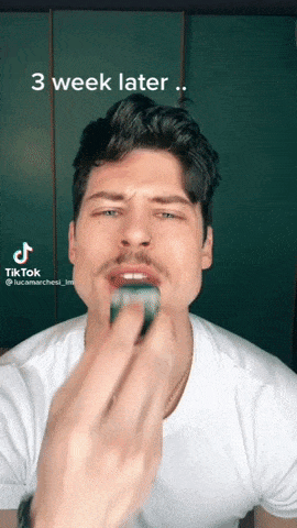 giphy-downsized-large.gif