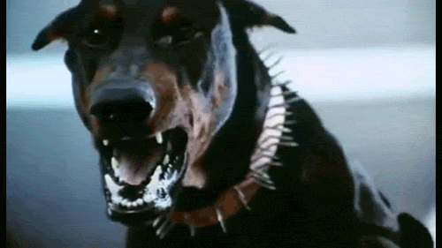 a8706d8bc06413f5abef50f66d827639.gif