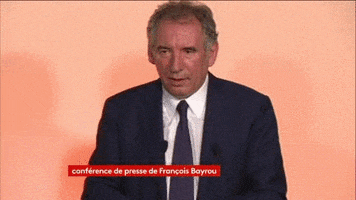 francois bayrou GIF by franceinfo