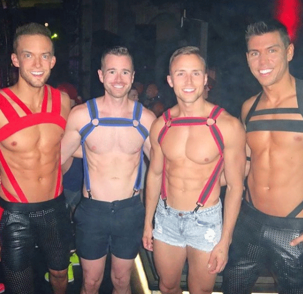 harness16.gif