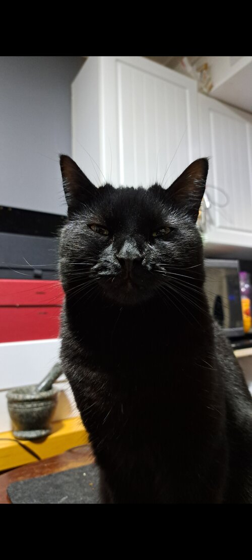 Screenshot 20260208 123303 Gallery