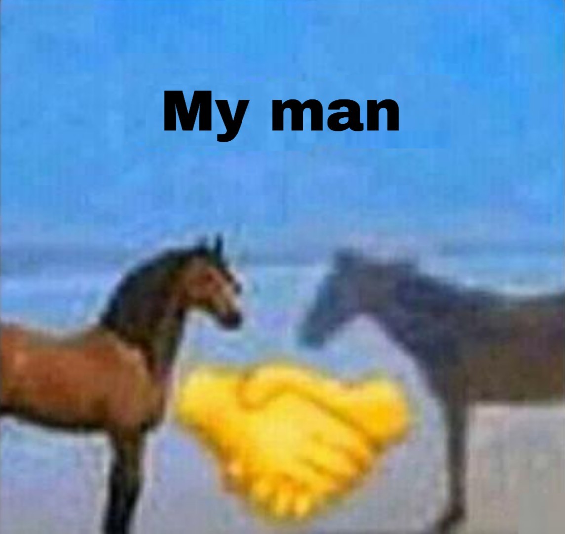 5efeb099b53e9.jpeg
