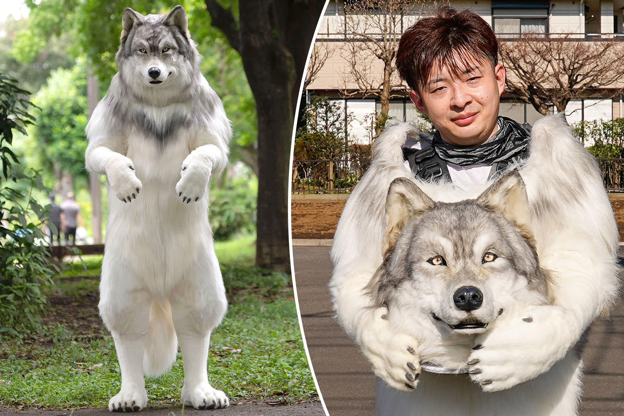 toru-ueda-wolf-suit-comp.jpg