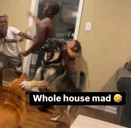 a dog is being held up in the air by a man and a girl .