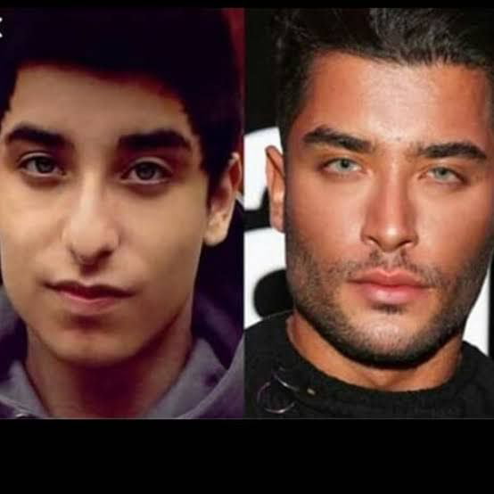 Why Instagram models shouldn't be idolized same guy but bunch of plastic  surgery. Toni Mahfud - 9GAG