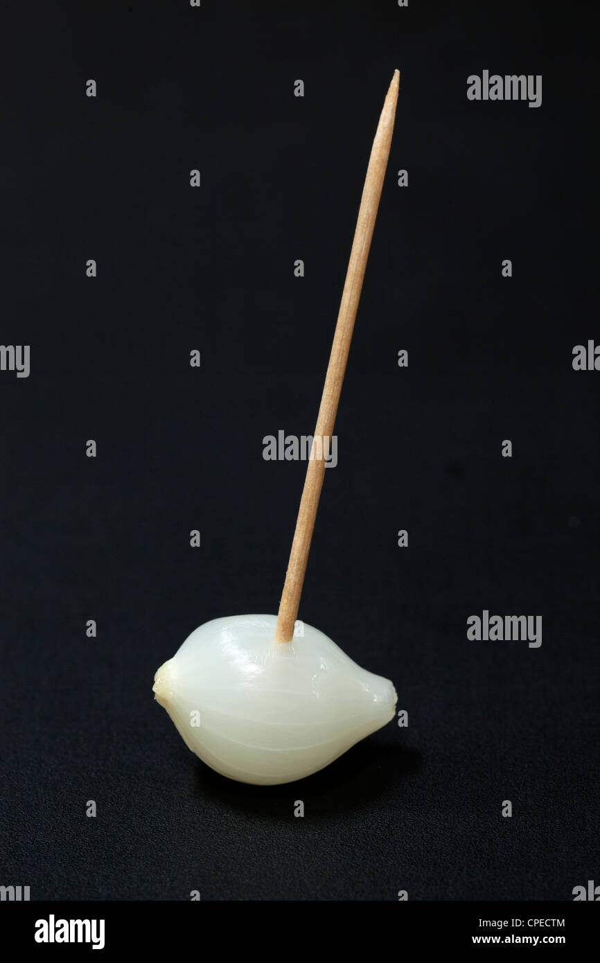 silverskin-onion-on-cocktail-stick-canape-party-food-CPECTM.jpg