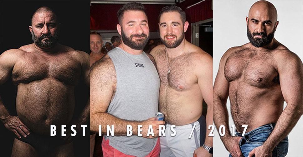 best-in-bearsx750x968.jpg