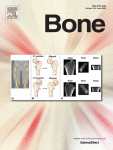 www.sciencedirect.com