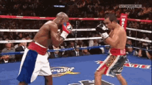 mayweather-floyd-mayweather.gif