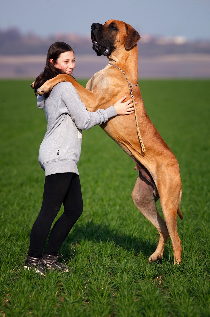 girl-2494767_1280.jpg