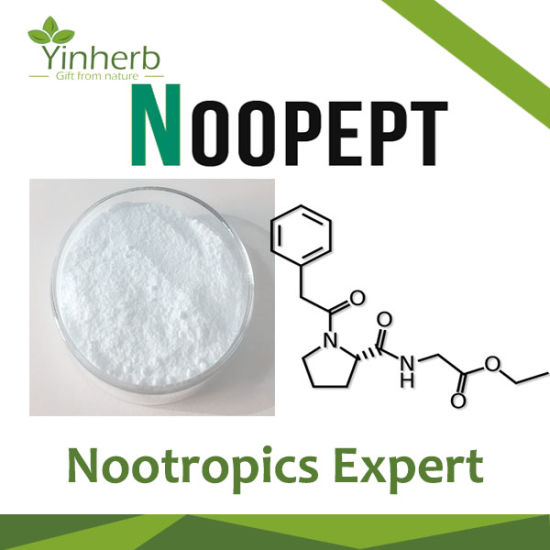 Yinherb-Lab-Nootropics-Series-Noopept-Powder-CAS-157115-85-0-Noopept.jpg