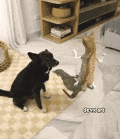Artificial Intelligence Cat GIF by DevX Art