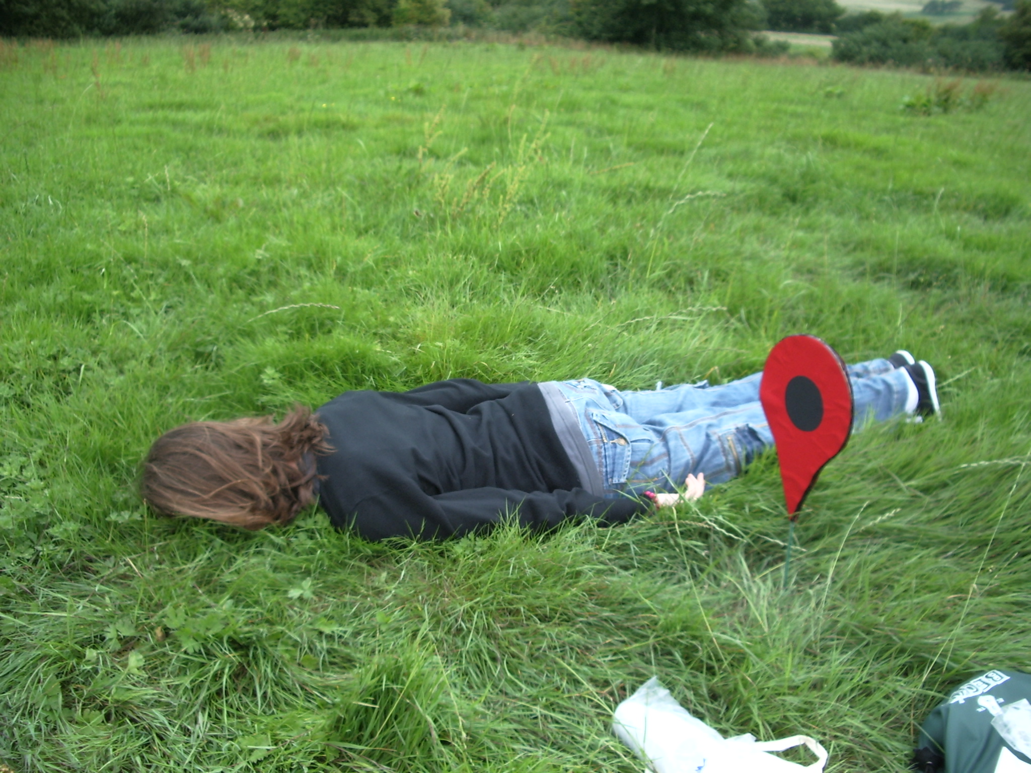 Planking – Wikipedia, wolna encyklopedia
