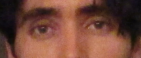 3552269_1000000203.jpg