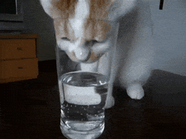 water GIF
