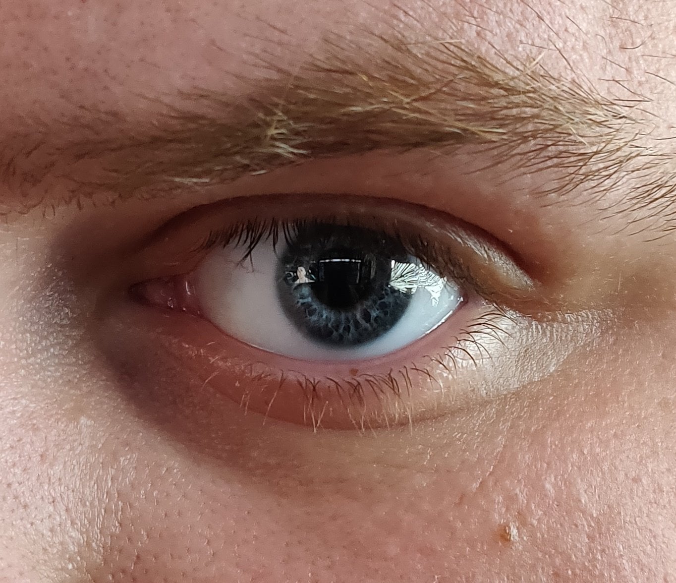 My dark blue eye : r/eyes