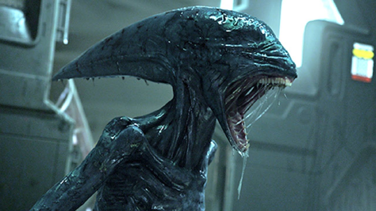 movies-prometheus-xenomorph.jpg