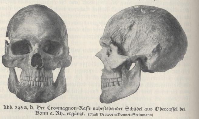 bf651db5a270f07bf75e32d72a7923d1.jpg