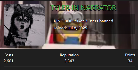 1753087925996