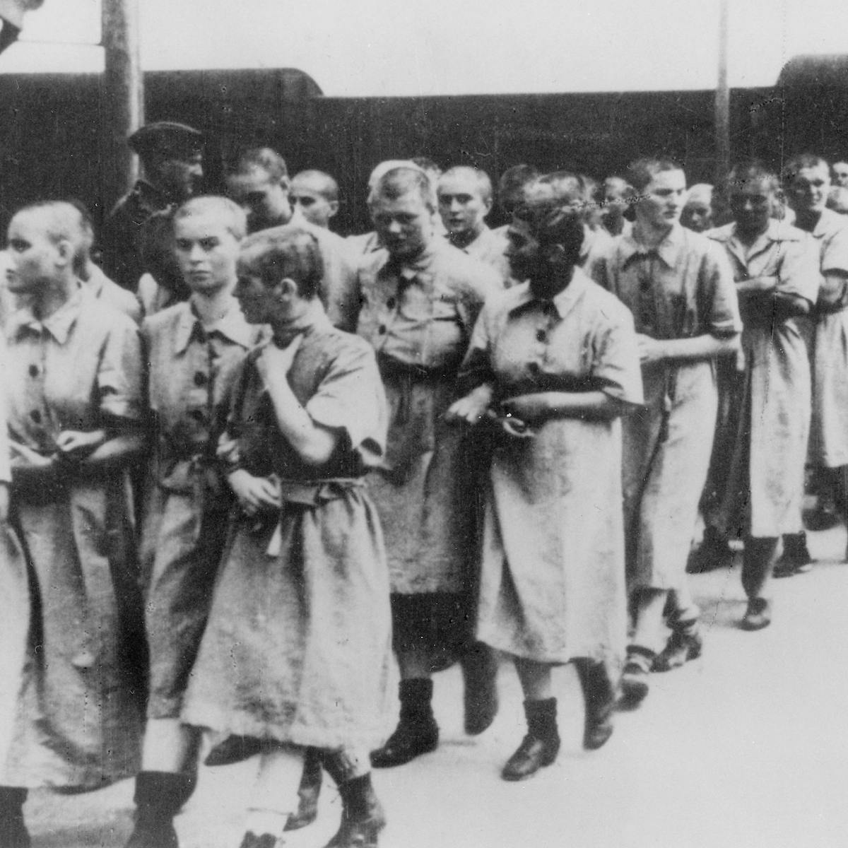 Auschwitz: Women used different survival and sabotage strategies than men  at Nazi death camp
