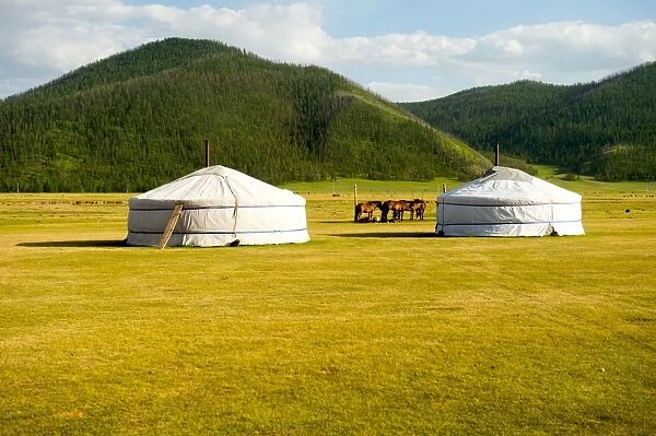 horse-mongolia-yurt-orkhon-valley-centreal-11980974.jpg.webp