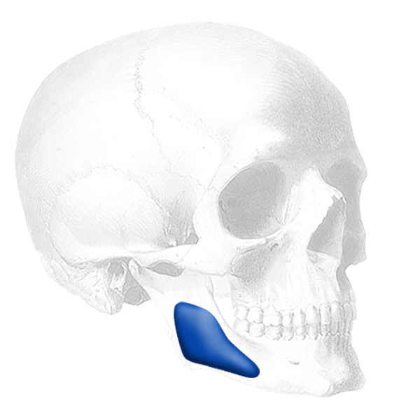 Skull-CMA.png