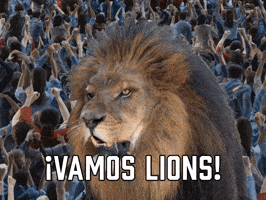 Detroit Lions Football GIF by Sealed With A GIF
