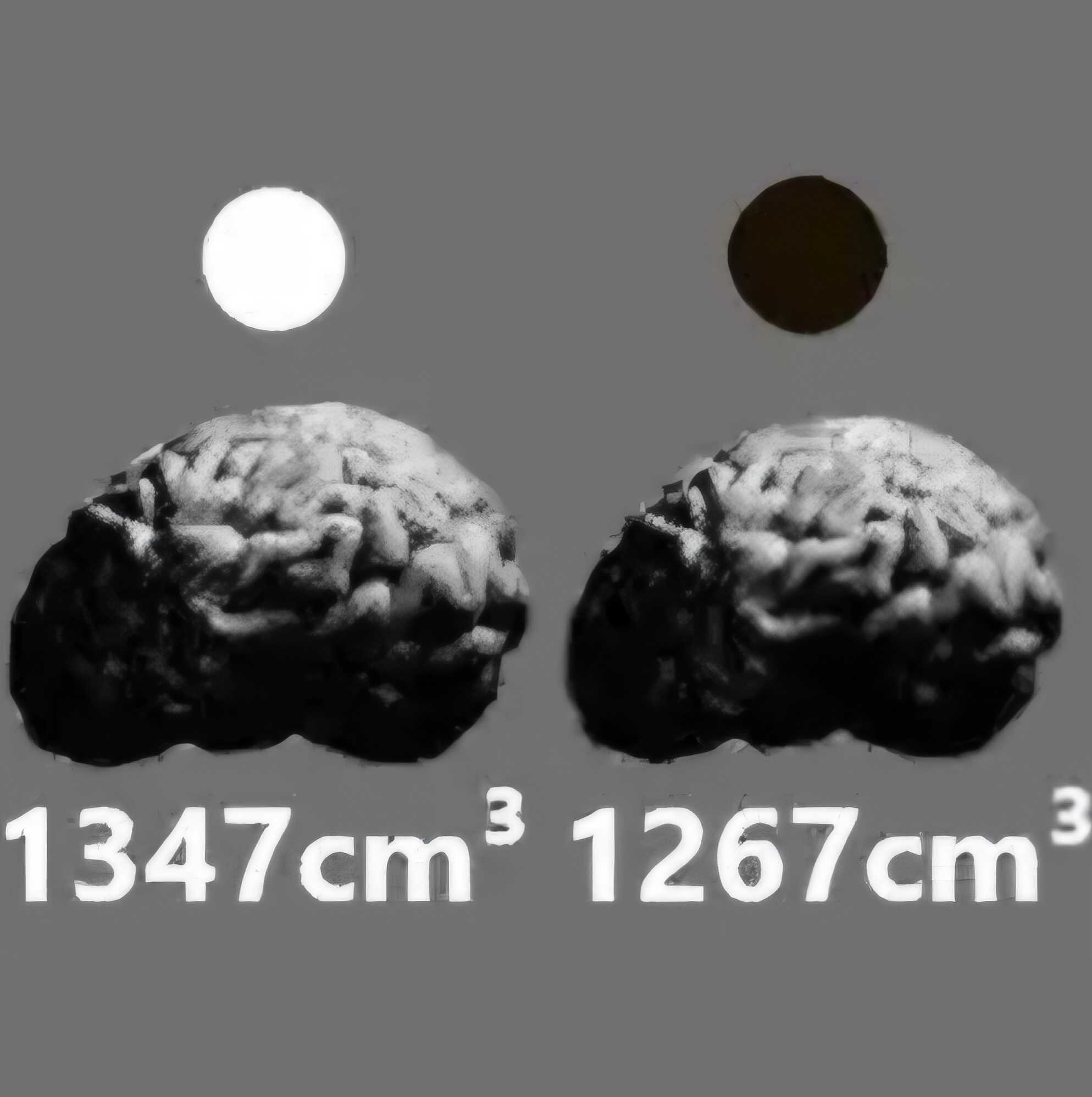 1779205144314