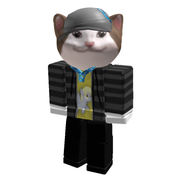 www.roblox.com