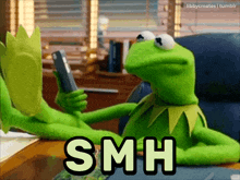 smh-kermit-the-frog.gif