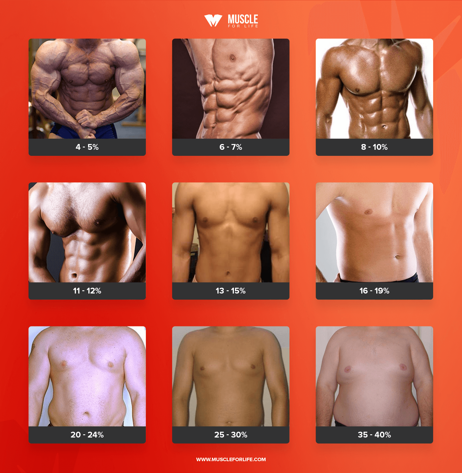 blogpost_Males_MFL.png