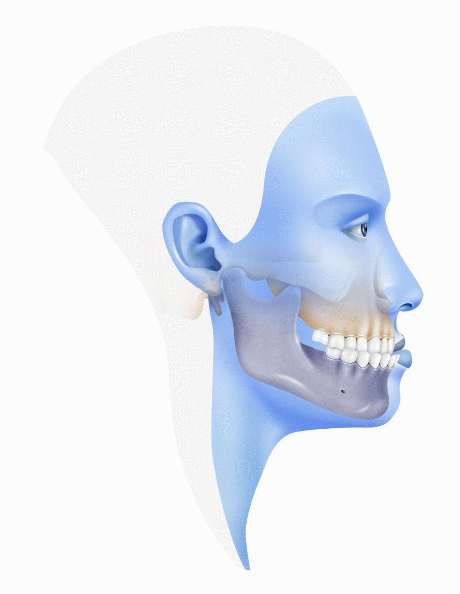 main-qimg-680c44cb2116c222c38c504ea07061e5