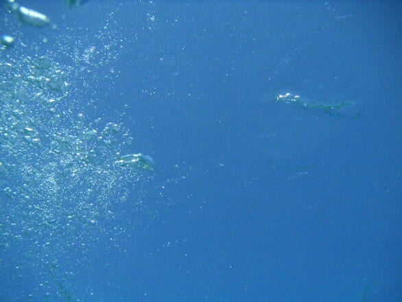 www.questclimate.com