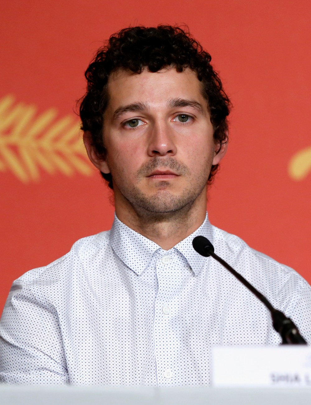 shia-lebeouf.jpg