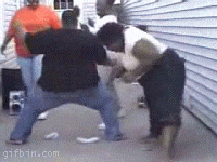 giphy.gif