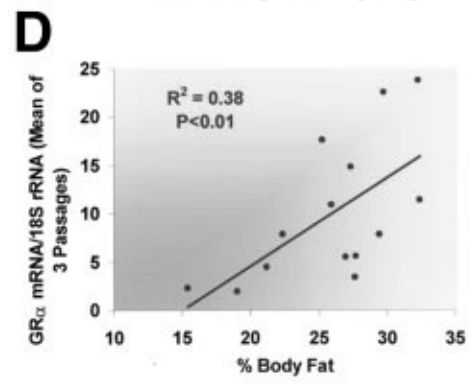 Fluoxymesterone - body fat and GR expression