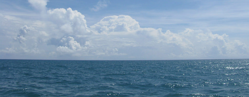 ihilzgnfq4w5tg0amu8x.jpg
