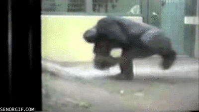 break-dancing-gorilla