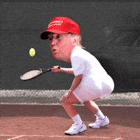 Donald Trump GIF by Justin Gammon