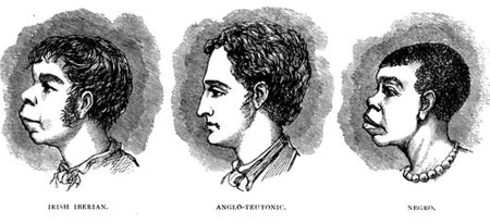 scientific_racism_irish3677352110676762928.jpg