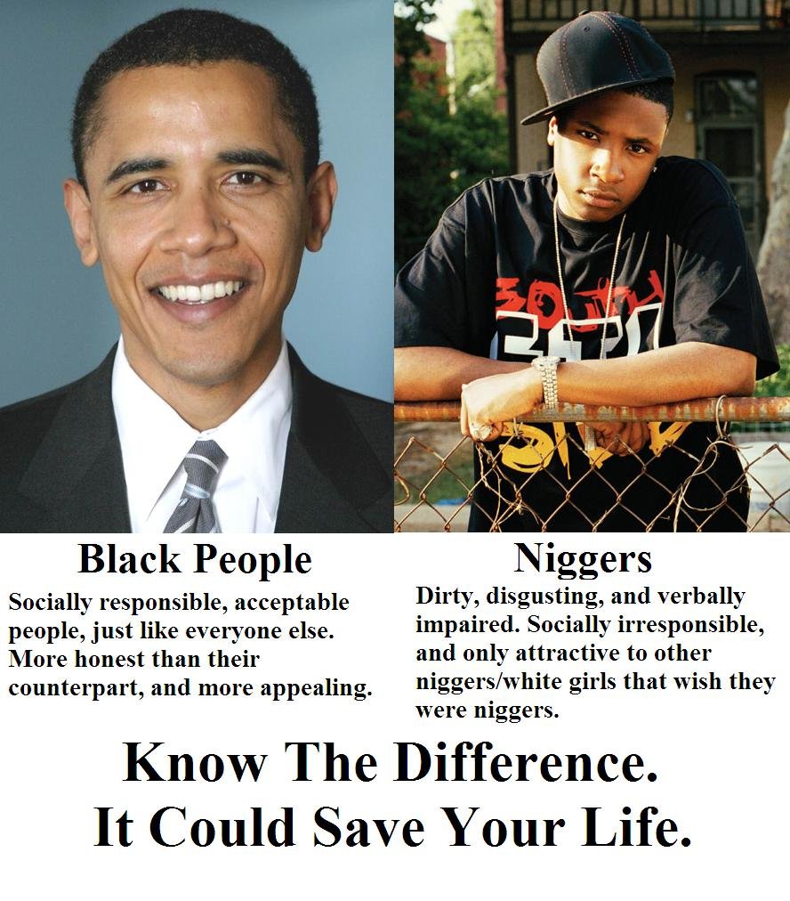 Topic: Black People & Nigger: Recognize The Difference! — TinyChan